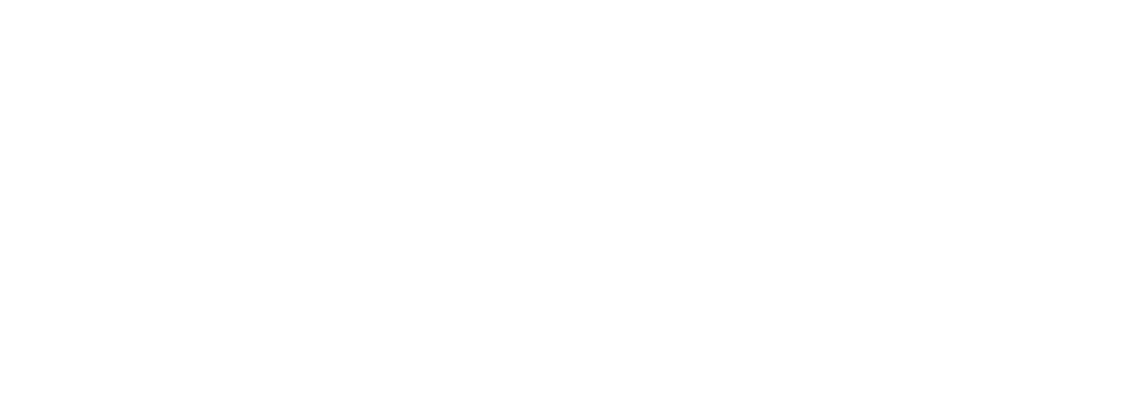 SNP PHX Logo WHITE